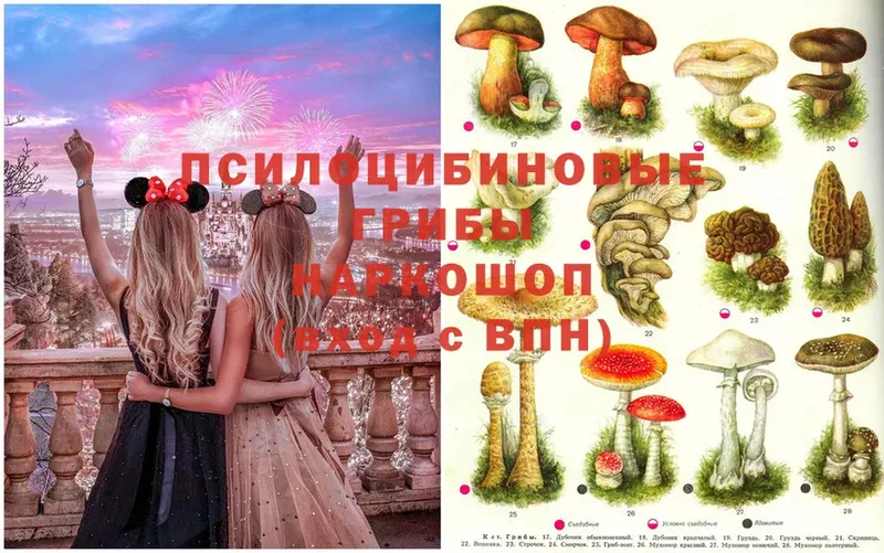 Галлюциногенные грибы MAGIC MUSHROOMS  дарк нет состав  Велиж 